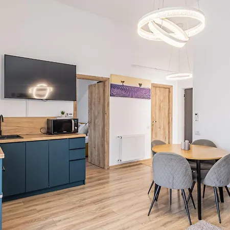 Apartment Cozy Deluxe 2 Bedrooms With Terrace - Coresi Mall *